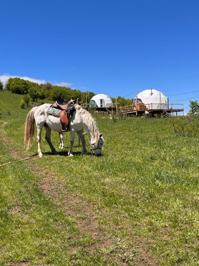 Glamping Park Hotel Shahumyan Exterior photo